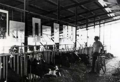 Exhibition of etchings in the barn of Kibbutz Nirim